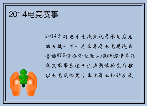 2014电竞赛事