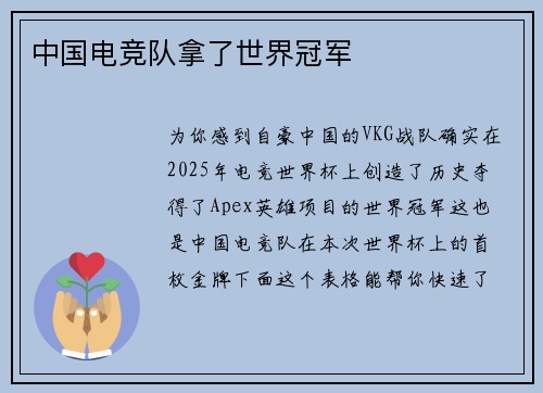 中国电竞队拿了世界冠军